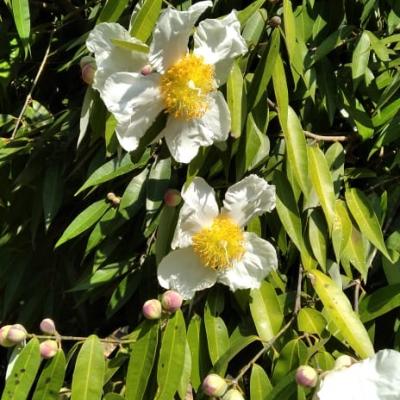 Whatsapp Image 2024 03 12 At 10.16.21 A5f27b0d