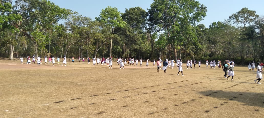 නිවාසාන්තර ක්‍රිඩා උළෙල